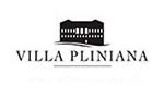Villa Pliniana